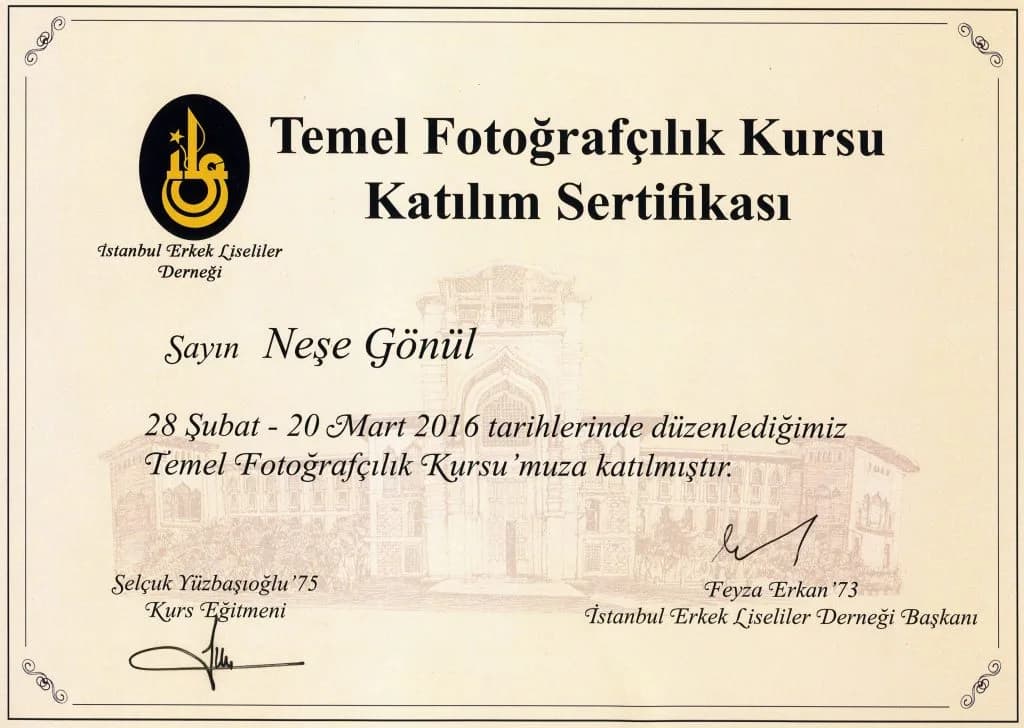 Yrd. Doç. Dr. Neşe Yoko Sayınsu'nun katıldığı eğitim ve kongre belgesi
